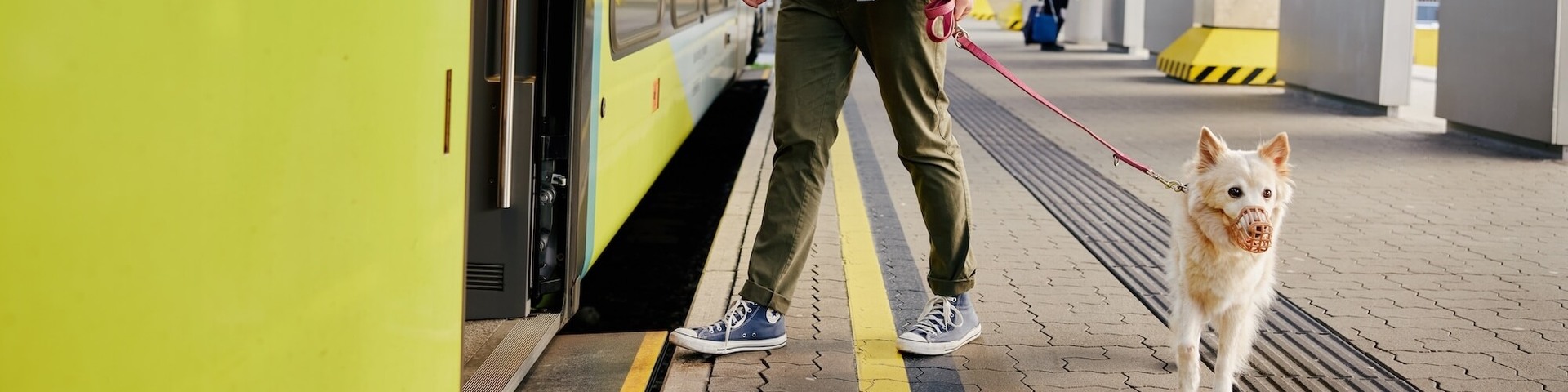 Mit Haustier in der Westbahn