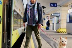 Travelling with pets