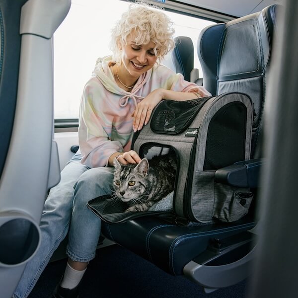Reisen mit Katze in der Westbahn
